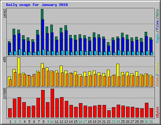 Daily usage for January 2010