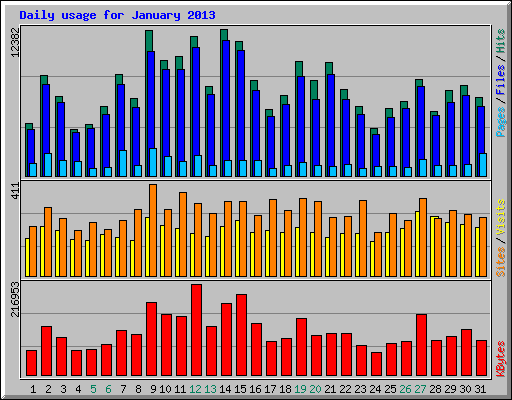 Daily usage for January 2013