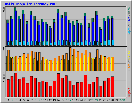 Daily usage for February 2013