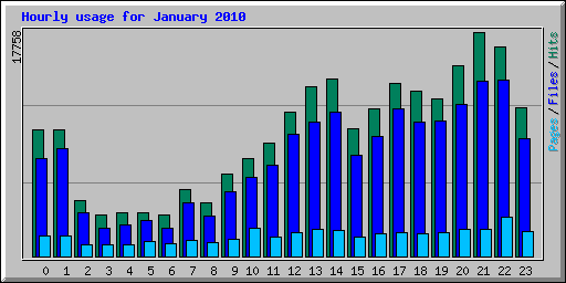 Hourly usage for January 2010