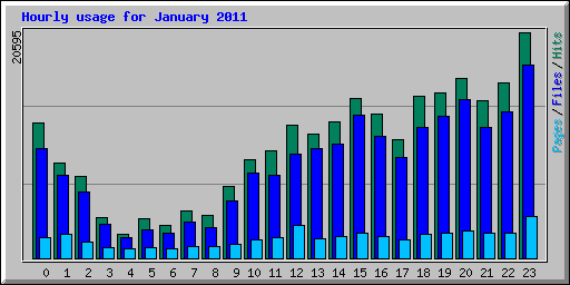 Hourly usage for January 2011