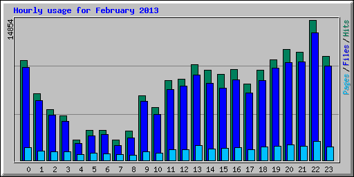 Hourly usage for February 2013