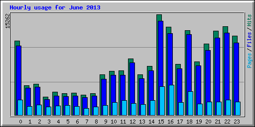 Hourly usage for June 2013