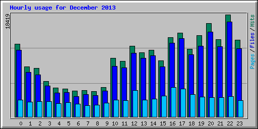 Hourly usage for December 2013