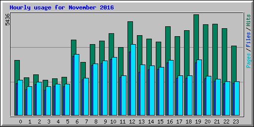 Hourly usage for November 2016