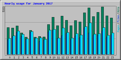 Hourly usage for January 2017